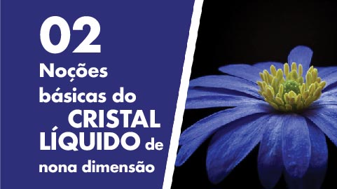 Noções básicas do Cristal Líquido de Nona Dimensão